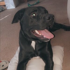 Meet your Posher, Leann